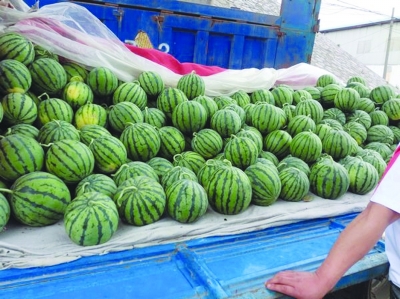 消暑降溫，永大機(jī)械購買解暑西瓜